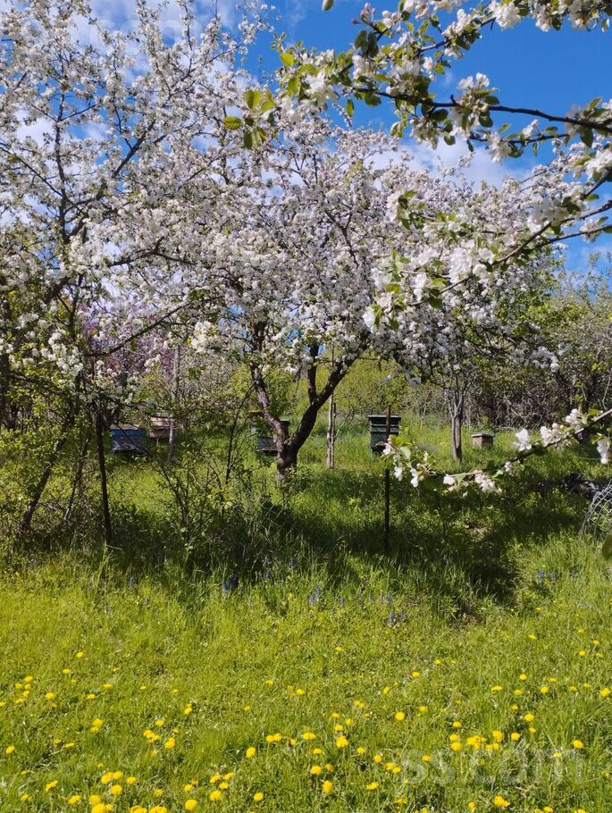 Ozolaine 102, Ozolaine, Daugavpils un raj., Medumu pag. — maja