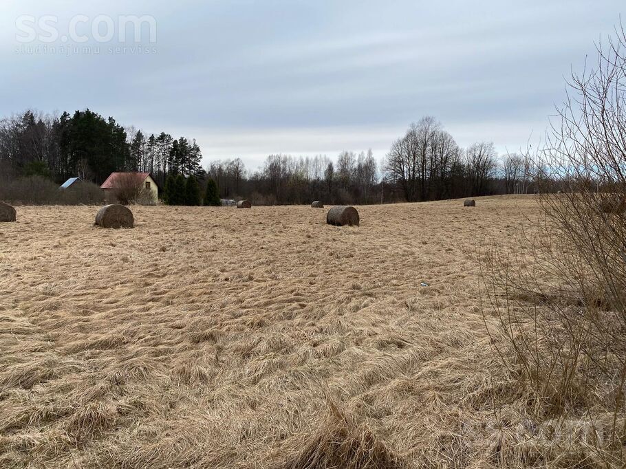 Cēsu ceļs, Auciems, Cēsis un raj., Raiskuma pag. — zeme