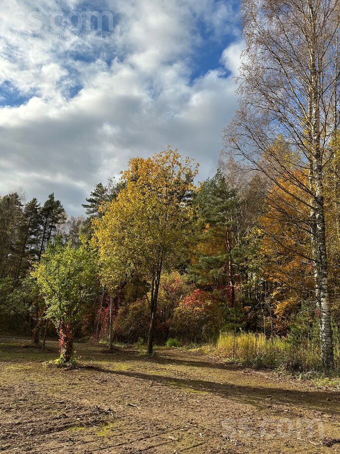 Dzirnavu iela 60, Cēsis un raj., Cēsis — zeme