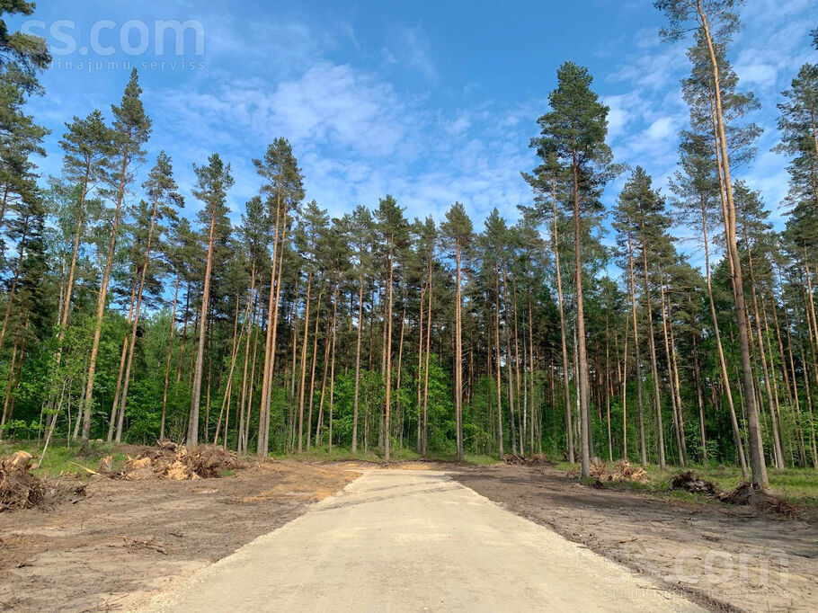 Palu iela 8, Sēbruciems, Rīgas rajons, Babītes pag. — zeme