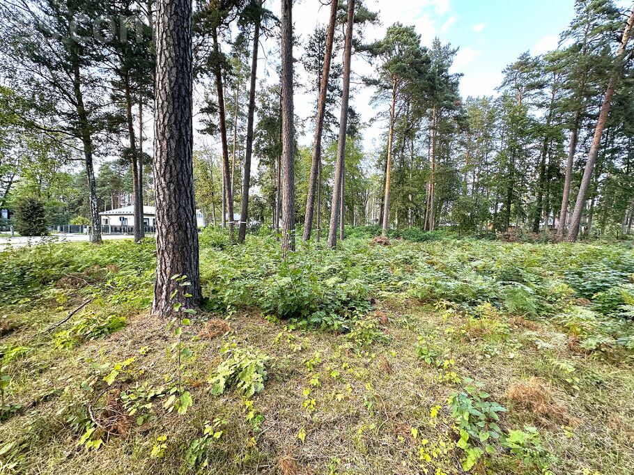 Piekrastes 29, Jūrmala — zeme