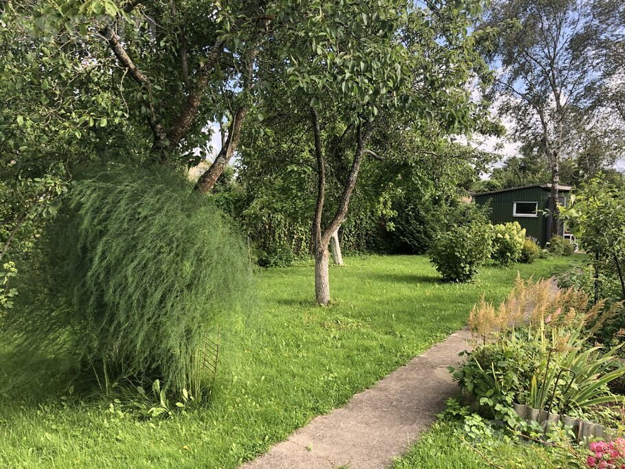 34 22, Šķēde, Liepāja un raj., Medzes pag. — maja