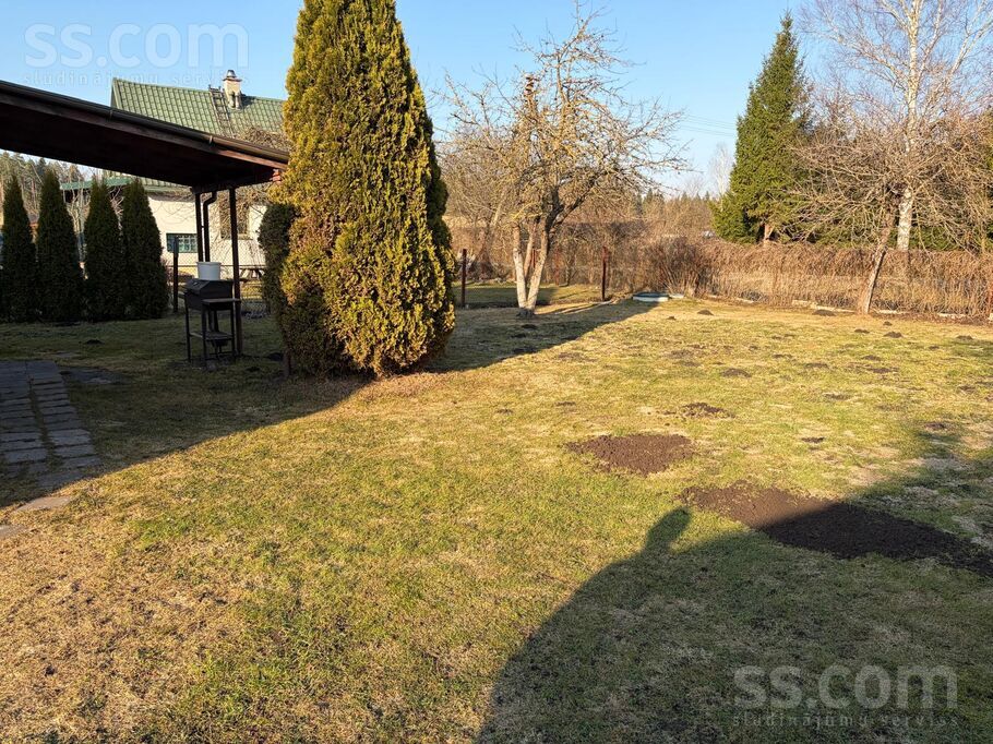 Tulpe 91, Rājumi, Rīgas rajons, Olaines pag. — maja