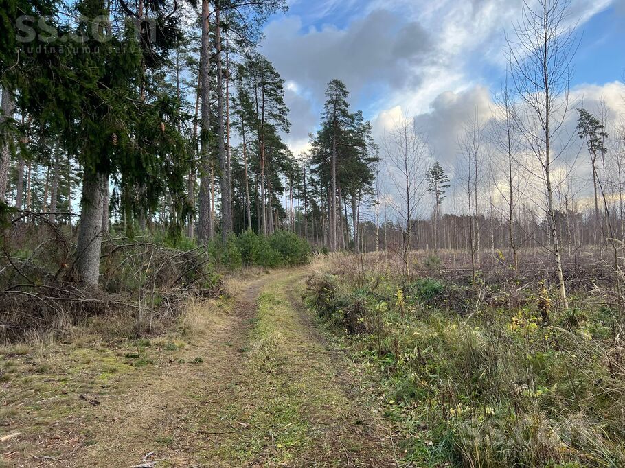 Mežkrogzemnieki, Skulte, Limbaži un raj., Skultes pag. — zeme