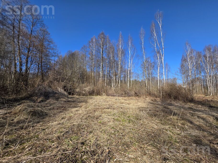 Ceriņu 13, Stūnīši, Rīgas rajons, Olaines pag. — zeme