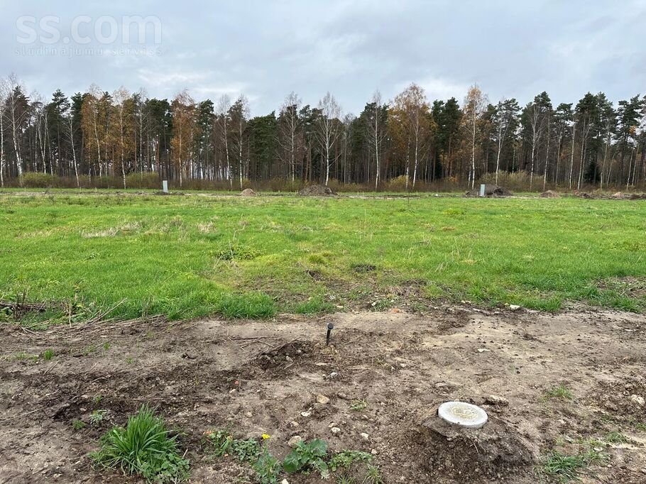 Vendijas, Grēnes, Rīgas rajons, Olaines pag. — zeme