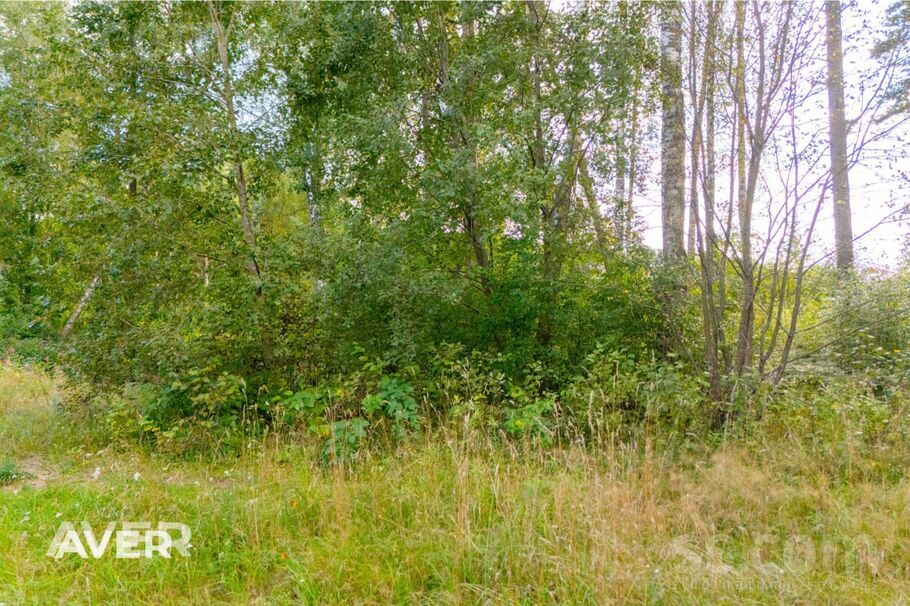 Avotu iela 2, Gauja, Carnikavas nov. — zeme