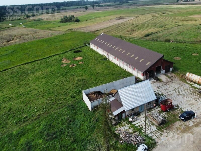 Kalna pupoli, Šengeida, Daugavpils un raj., Skrudalienas pag. — telpa