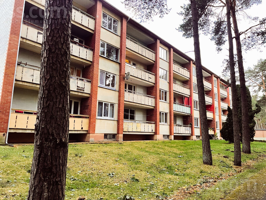 Strauta iela 8, Roja, Talsi un raj., Rojas pag. — dzivoklis