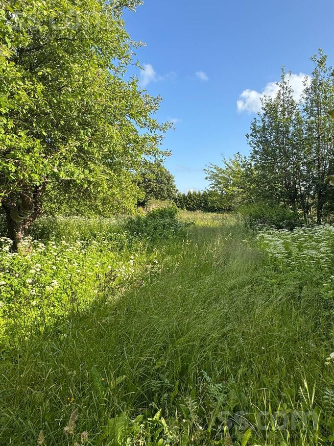 Ābeļziedi, Zūras, Ventspils un raj., Vārves pag. — maja