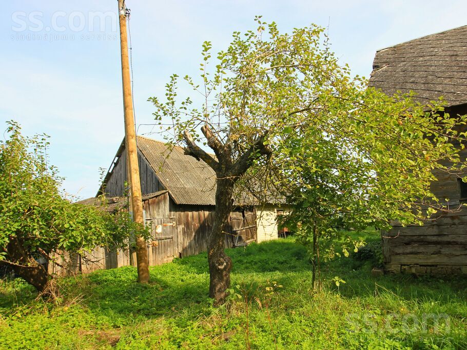 Nākotne, Jelgava un raj., Glūdas pag. — vienseta