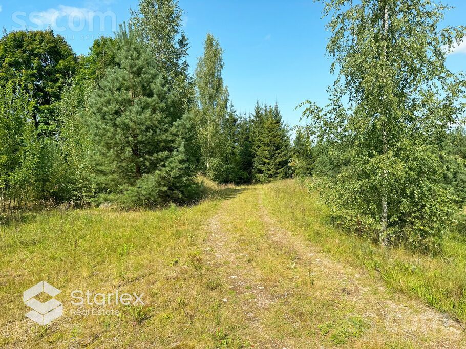 Dilles, Amata, Cēsis un raj., Drabešu pag. — zeme