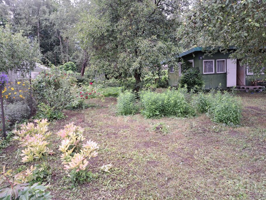 Mežsarga 12, Medemciems, Rīgas rajons, Olaines pag. — zeme