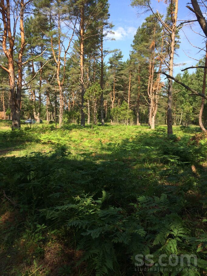 Bangu Iela 8d, Ventspils un raj., Ventspils — zeme