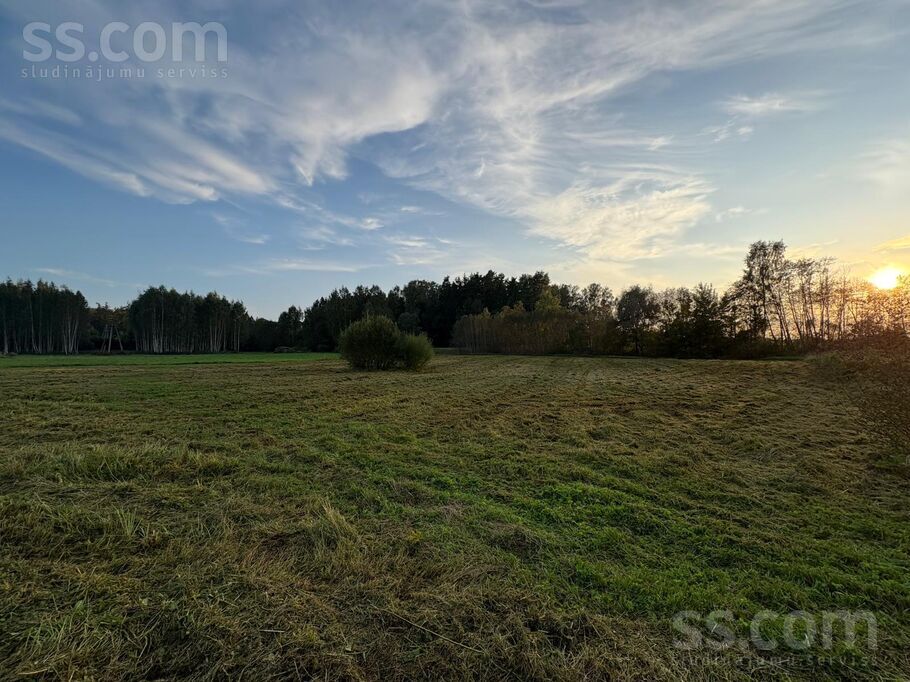 Kaktu 1, Rembate, Ogre un raj., Rembates pag. — zeme