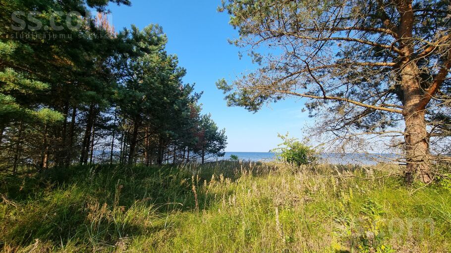 Saulstari, Valgalciems, Talsi un raj., Rojas pag. — zeme