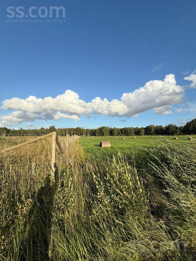 Lestene, Tukums un raj., Lestenes pag. — vienseta