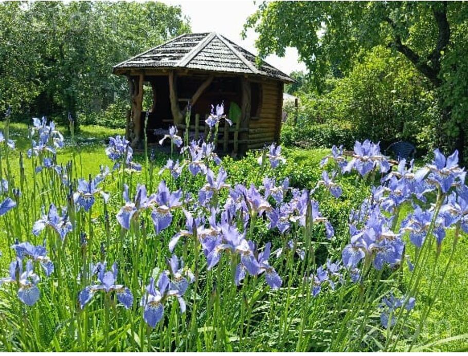 Dārziņu 13. l. 9, Rīga — maja