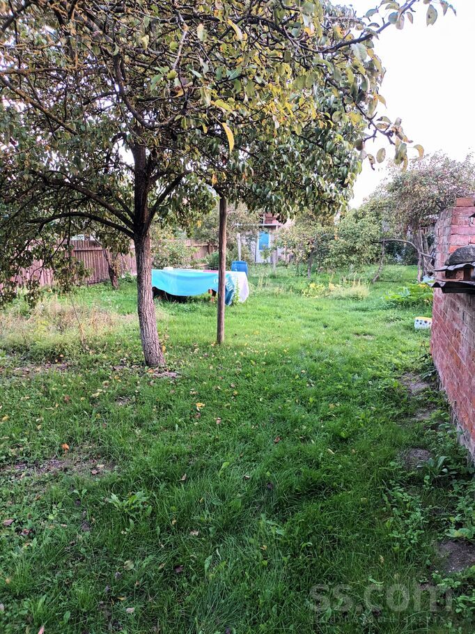 31 6, Šķēde, Liepāja un raj., Medzes pag. — maja