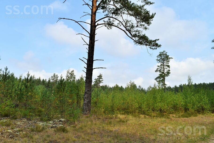 Kociņi, Kadaga, Rīgas rajons, Ādažu nov. — zeme