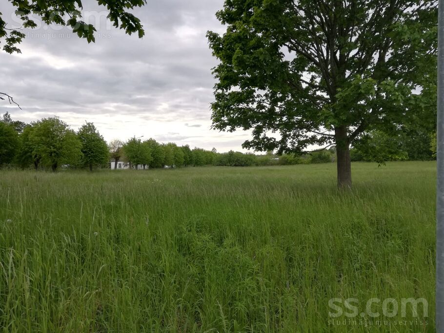 Herteļa 4, Liepāja un raj., Aizpute — zeme