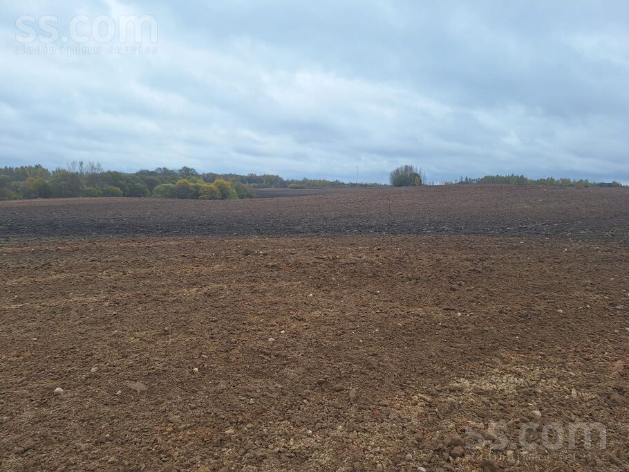 Alkšņu lauki, Krāslava un raj., Izvaltas pag. — zeme
