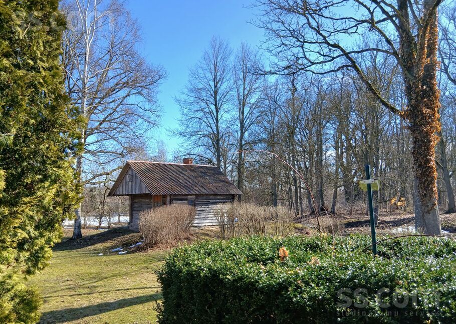 Viesturi, Bauska un raj., Viesturu pag. — vienseta