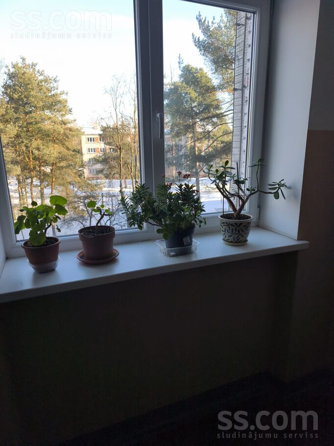 Dreiliņu 18, Rīga — dzivoklis