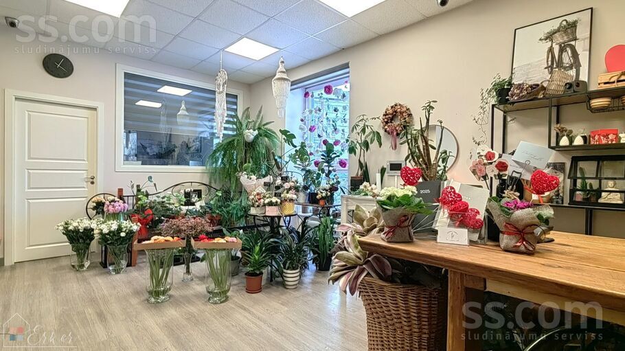 Bauskas 33, Rīga, Torņakalns — telpa