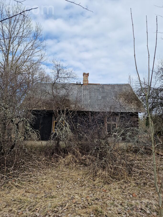 Vite, Rīgas rajons, Mālpils pag. — vienseta