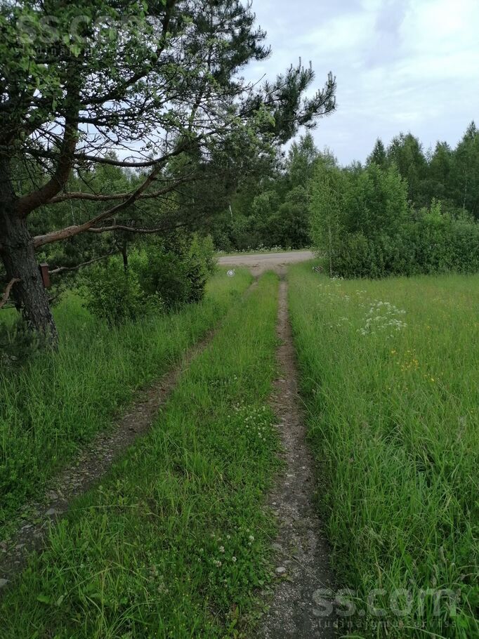 Saliena, Daugavpils un raj., Salienas pag. — vienseta