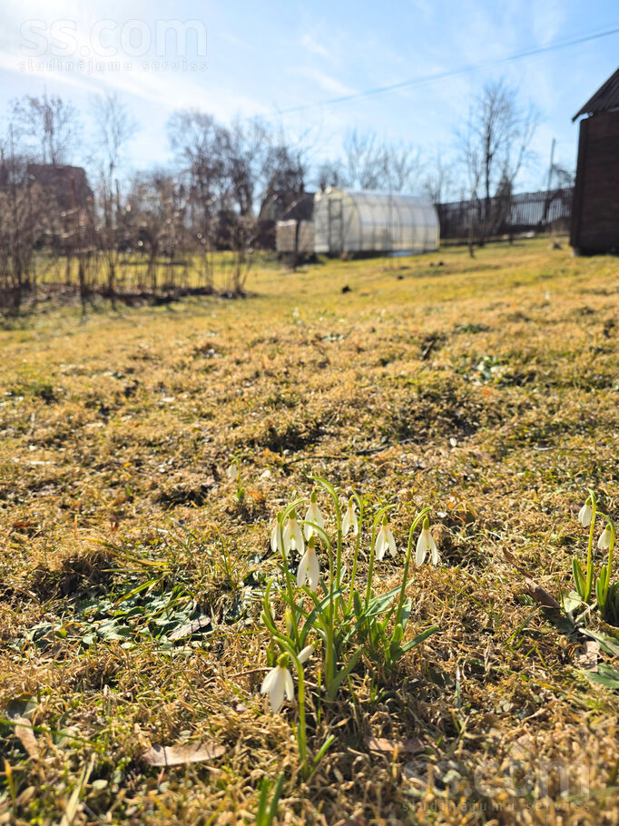 Šveices iela 29a, Rīgas rajons, Sigulda — zeme