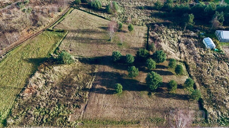 Zaigas, ķirbīši, Dzimtmisa, Bauska un raj., Iecavas nov. — zeme