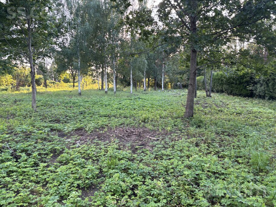 Dienvidu iela 12, Rīgas rajons, Salaspils — zeme