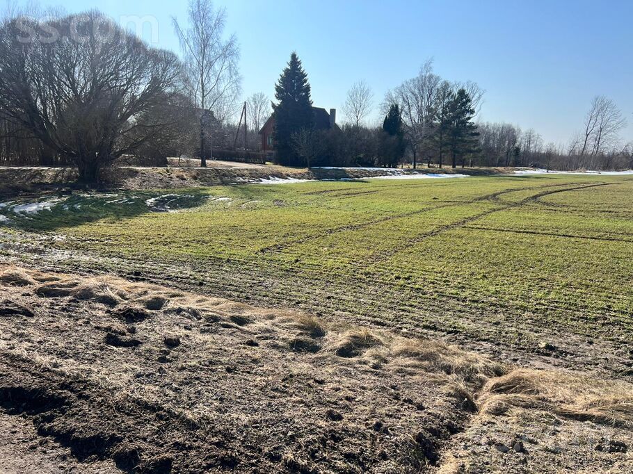 Pīkas; Audrupi, Iecava, Bauska un raj., Iecavas nov. — zeme