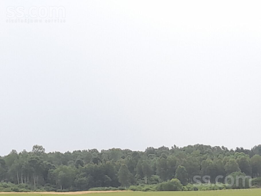 Ziedmalas,, Veclauki, Tukums un raj., Jaunpils pag. — zeme