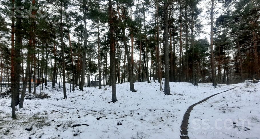 Dzintara, Rīga — zeme