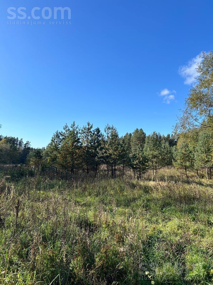 Bez, Gauja, Rīgas rajons, Inčukalna nov. — zeme