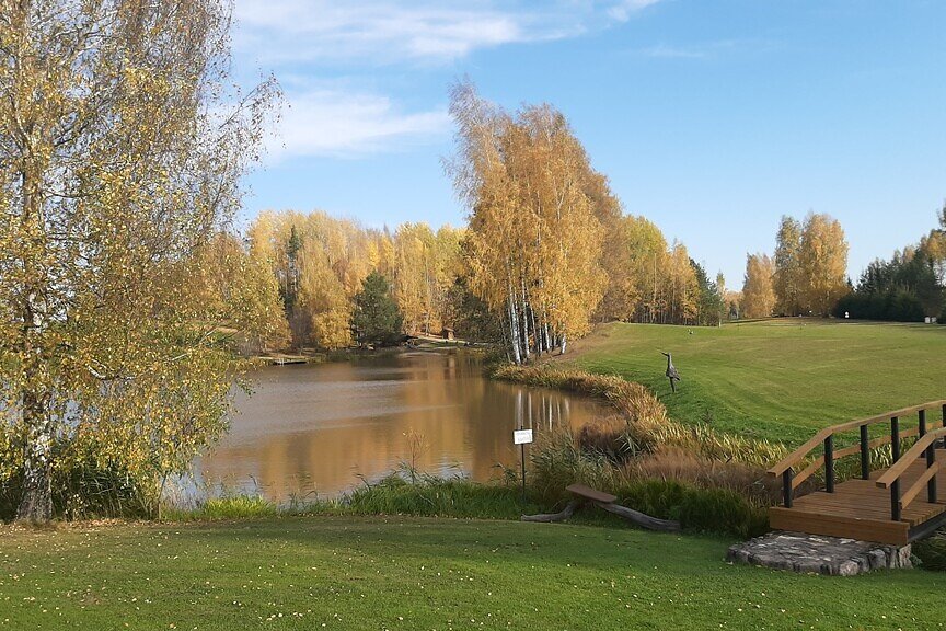 Trīssaliņas x, Smiltenes nov.