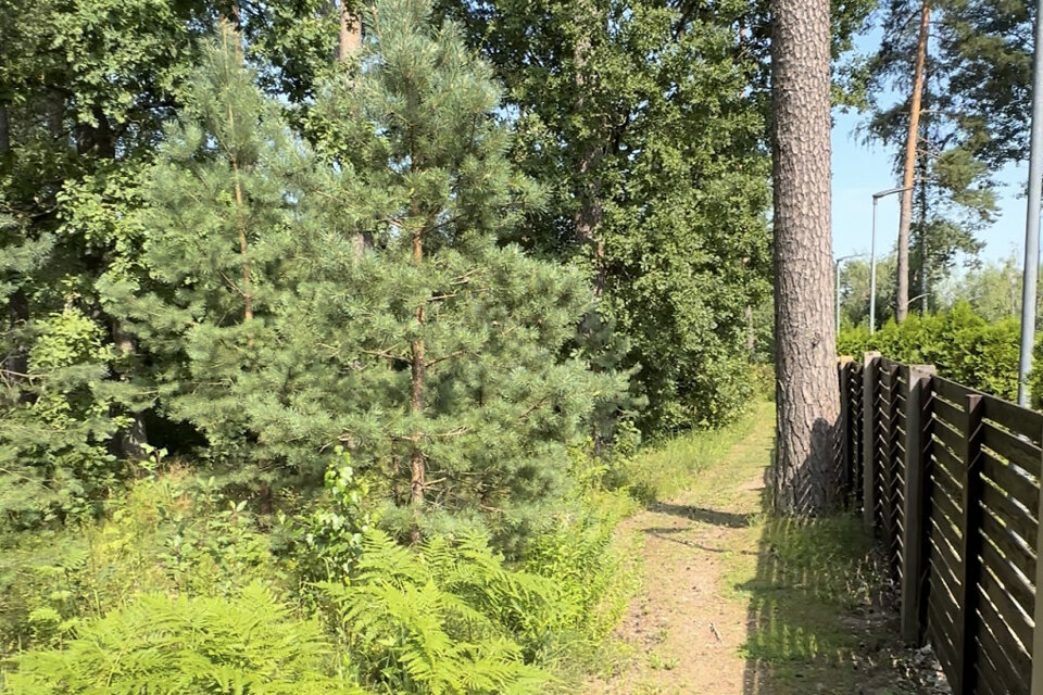 4, Upesciems, Ropažu nov.