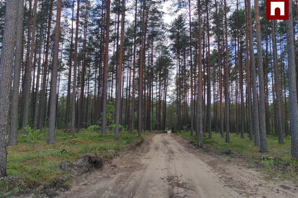 4, Upesciems, Ropažu nov.