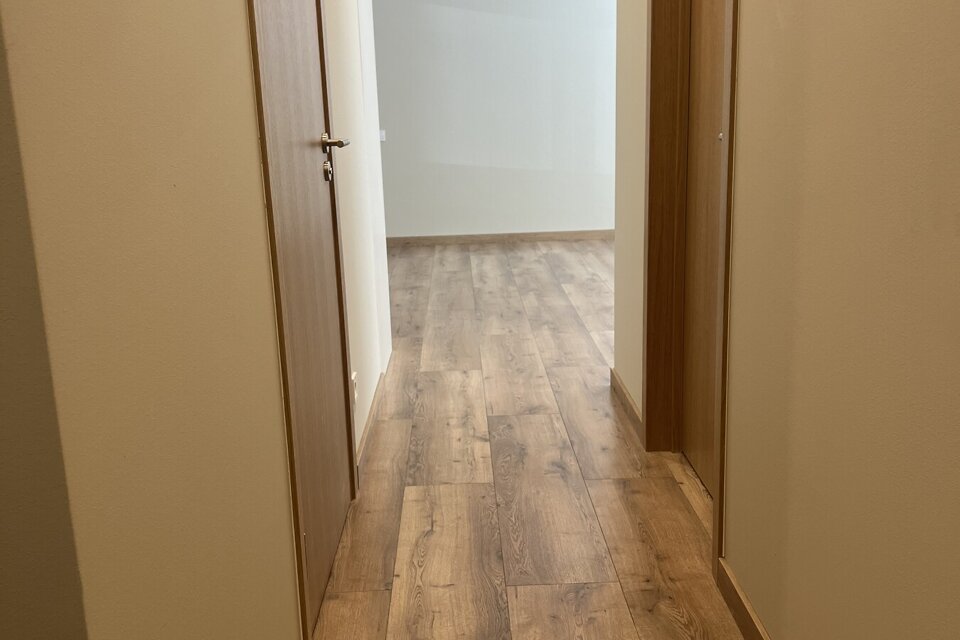 Institūta iela 29, Ulbroka, Ropažu nov.