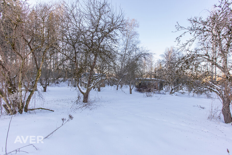 Vaivadi, Zīles 270, Olaines nov.
