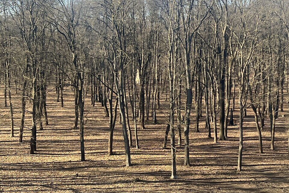 Silmaču iela 1, Rīga