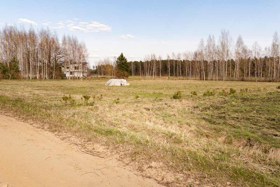 Ziedlapas, Jelgavas nov.