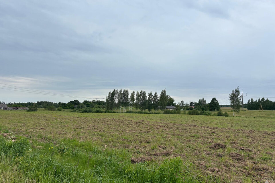 "Ievziedi", Ķekavas nov.