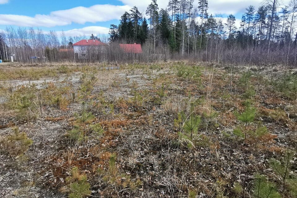 Griķi, Siguldas nov.