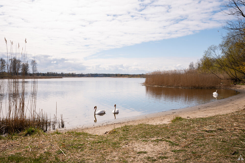 Birzes iela 30, Rīga
