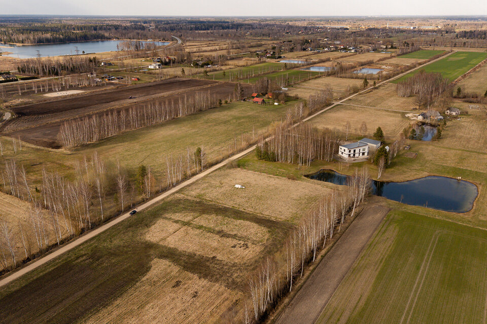 Ziedlapas, Jelgavas nov.