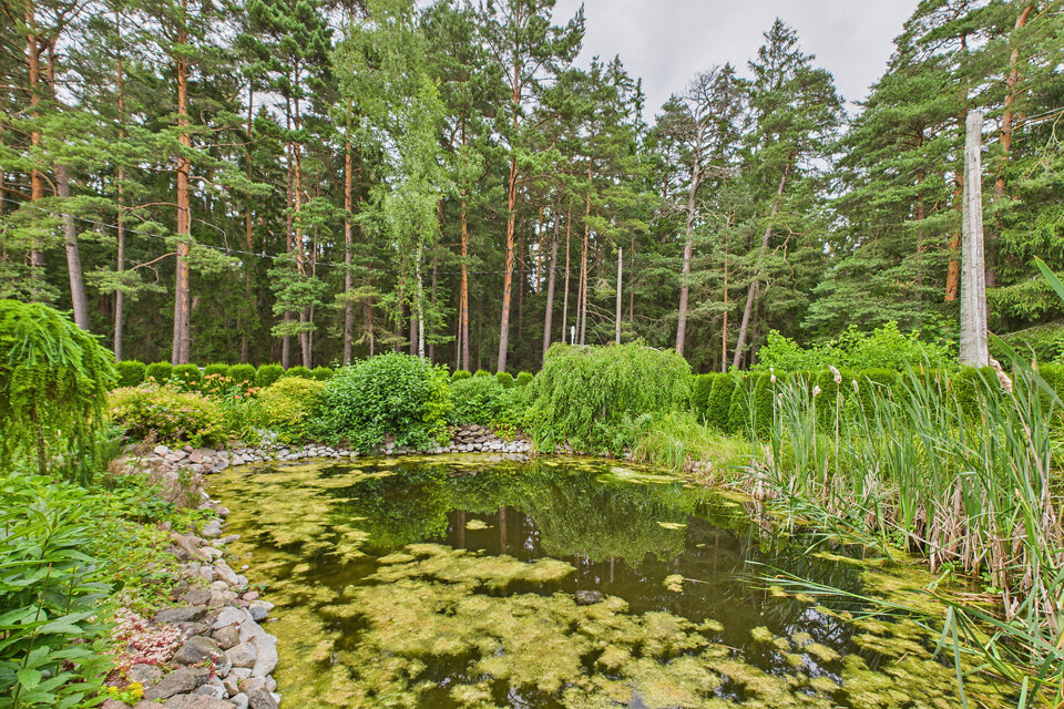 Tērauda iela, Jūrmala